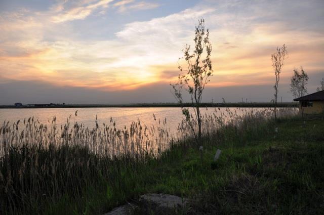 Doar ... NATURA - 4 - cnpc20-20ii20022resize1.jpg